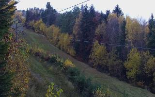 Laskowa pośredni - 02-11-2025 12:56