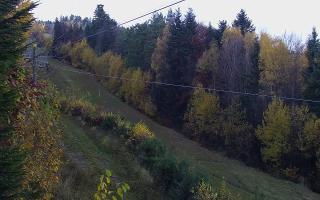 Laskowa pośredni - 02-11-2025 13:07