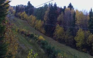 Laskowa pośredni - 02-11-2025 13:29