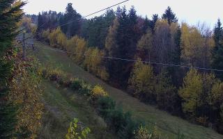 Laskowa pośredni - 02-11-2025 13:40