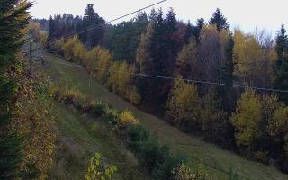 Laskowa pośredni - 02-11-2025 13:51