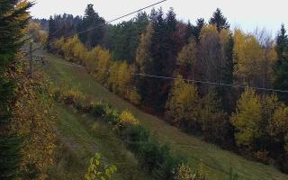 Laskowa pośredni - 02-11-2025 14:13