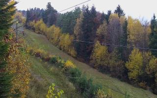 Laskowa pośredni - 02-11-2025 14:24