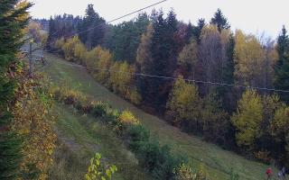 Laskowa pośredni - 02-11-2025 14:35