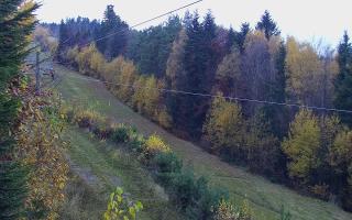 Laskowa pośredni - 02-11-2025 15:08