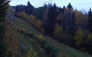 Laskowa pośredni - 02-11-2025 15:30