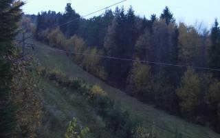 Laskowa pośredni - 02-11-2025 15:41