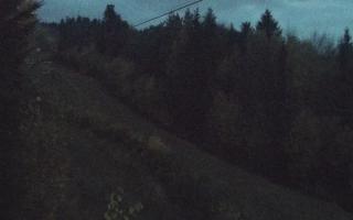 Laskowa pośredni - 02-11-2025 16:03