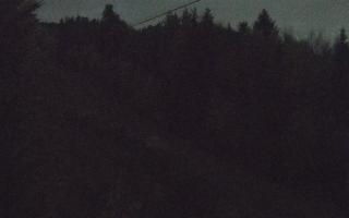 Laskowa pośredni - 02-11-2025 16:14