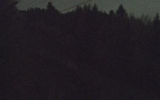 Laskowa pośredni - 02-11-2025 16:25