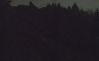 Laskowa pośredni - 02-11-2025 16:47