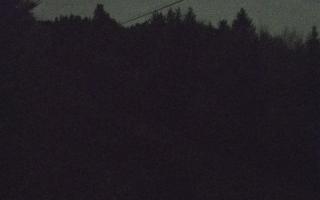 Laskowa pośredni - 02-11-2025 16:58