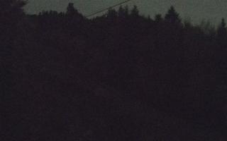 Laskowa pośredni - 02-11-2025 17:20