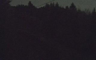 Laskowa pośredni - 02-11-2025 17:31