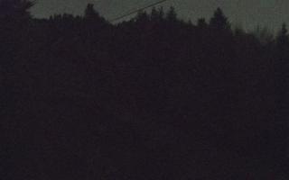 Laskowa pośredni - 02-11-2025 17:42