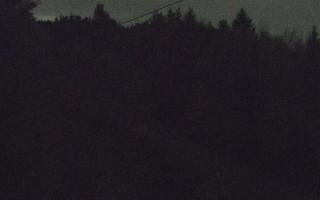 Laskowa pośredni - 02-11-2025 17:53