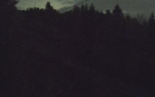 Laskowa pośredni - 02-11-2025 18:03