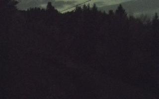 Laskowa pośredni - 02-11-2025 18:14