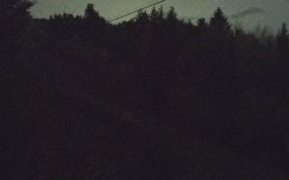 Laskowa pośredni - 02-11-2025 18:25