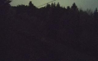 Laskowa pośredni - 02-11-2025 18:47