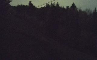 Laskowa pośredni - 02-11-2025 18:58