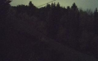 Laskowa pośredni - 02-11-2025 19:09