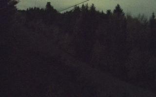 Laskowa pośredni - 02-11-2025 19:31