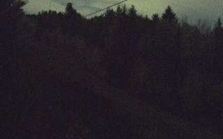 Laskowa pośredni - 02-11-2025 19:42