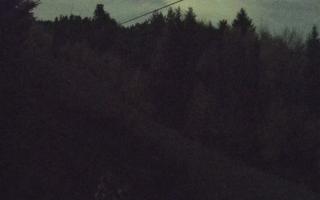 Laskowa pośredni - 02-11-2025 19:53