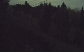 Laskowa pośredni - 02-11-2025 20:15