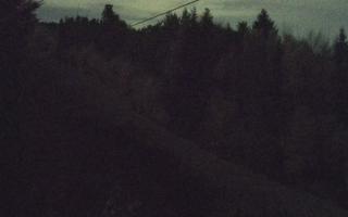 Laskowa pośredni - 02-11-2025 20:26