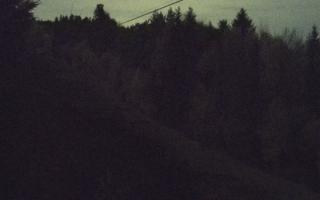 Laskowa pośredni - 02-11-2025 20:48