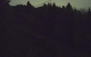 Laskowa pośredni - 02-11-2025 22:16