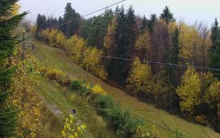 Laskowa pośredni - 03-11-2025 07:36