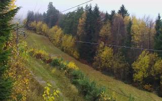 Laskowa pośredni - 03-11-2025 07:47