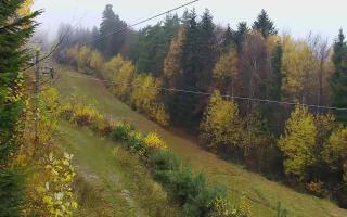 Laskowa pośredni - 03-11-2025 07:58