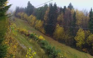 Laskowa pośredni - 03-11-2025 08:20