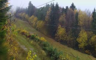 Laskowa pośredni - 03-11-2025 08:31