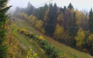 Laskowa pośredni - 03-11-2025 08:53