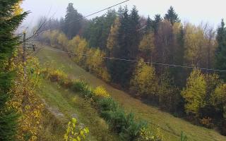 Laskowa pośredni - 03-11-2025 09:04