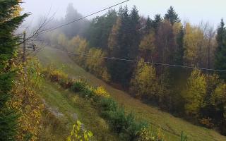 Laskowa pośredni - 03-11-2025 09:26