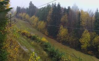 Laskowa pośredni - 03-11-2025 09:58