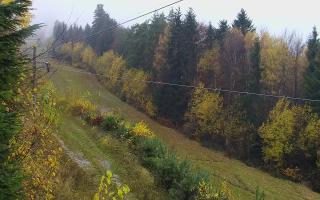 Laskowa pośredni - 03-11-2025 10:09