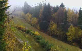 Laskowa pośredni - 03-11-2025 10:31