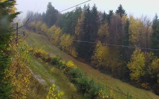 Laskowa pośredni - 03-11-2025 10:42