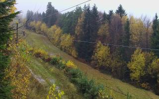 Laskowa pośredni - 03-11-2025 11:37