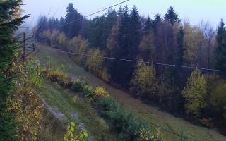 Laskowa pośredni - 03-11-2025 14:44