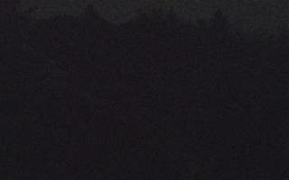 Laskowa pośredni - 13-12-2025 16:20