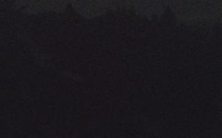 Laskowa pośredni - 13-12-2025 16:31