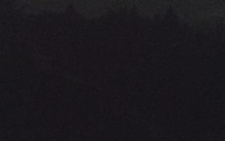 Laskowa pośredni - 13-12-2025 16:42